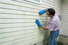 Best Custom Trim and Detailing for Siding  in Garyville, LA